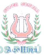 SUPER SONORA ACOLLINA