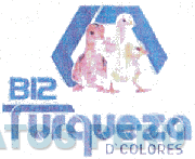 B12 TURQUEZA D'COLORES