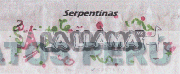 SERPENTINAS LA LLAMA