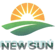 NEW SUN