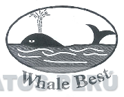 WHALE BEST