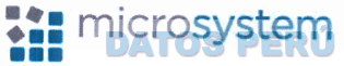 MICROSYSTEM
