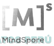 MS MINDSPORE