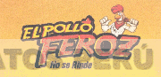 EL POLLO FEROZ NO SE RINDE