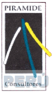 PIRAMIDE CONSULTORES