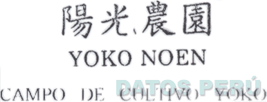 YOKO NOEN CAMPO DE CULTIVO YOKO