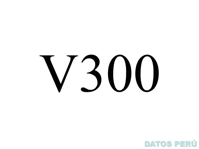 V300