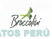 BROCCOLINI