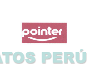 POINTER