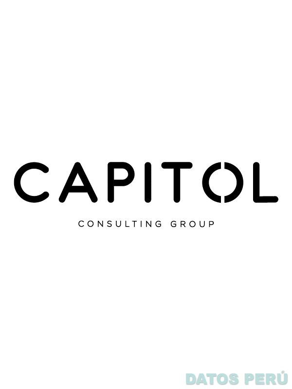 CAPITOL CONSULTING GROUP
