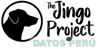 THE JINGO PROJECT