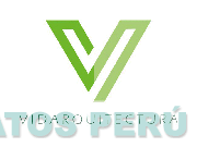 V VIDARQUITECTURA