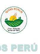 QUIWI PUNCH ¡COMER SALUDABLE NO FUE TAN FÁCIL!