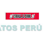 CEBOLLA EL CURAL