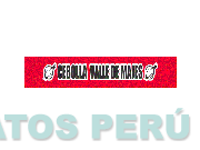 CEBOLLA VALLE DE MAJES