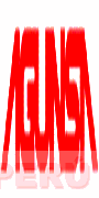 AGUNSA