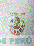 KORIPACHA