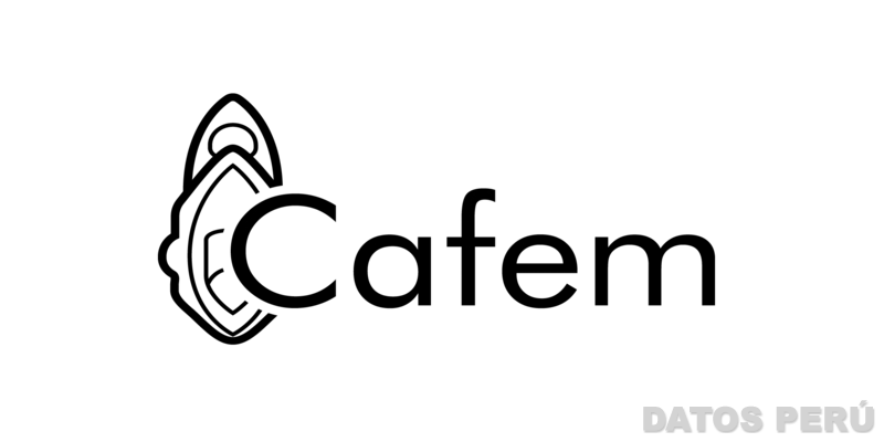 CAFEM