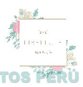 LIBELLULE PAPER & GIFTS