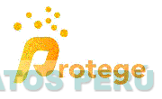 PROTEGE