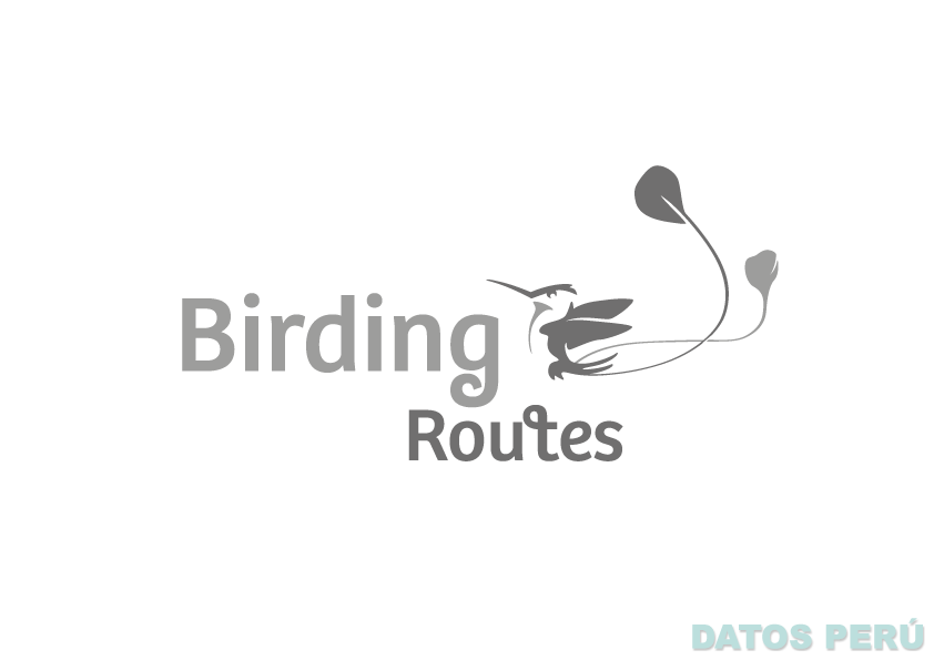 BIRDING ROUTES