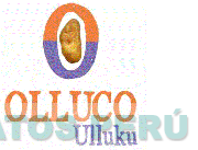 OLLUCO ULLUKU