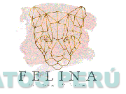 FELINA FOOTWEAR & MORE