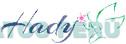 HADY