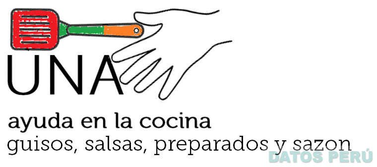 UNA AYUDA EN LA COCINA GUISOS, SALSAS, PREPARADOS Y SAZON