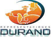REPRESENTACIONES DURAND