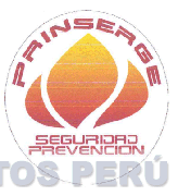 PRINSERGE SEGURIDAD PREVENCION