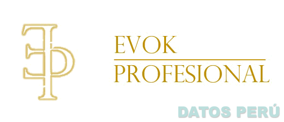 EP EVOK PROFESIONAL