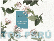 L´ESSENCE MADRESELVA SILVESTRE YANBAL