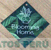 BLOOMING HOME
