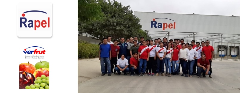 SOCIEDAD AGRICOLA RAPEL S.A.C | Agrícola Rapel