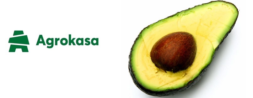 SOCIEDAD AGRICOLA DROKASA S.A | AGROKASA