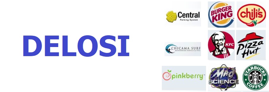 DELOSI S.A | Delosi