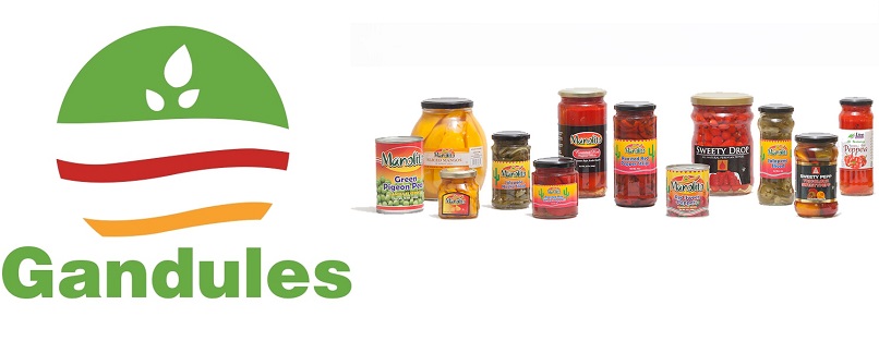 GANDULES INC S.A.C | GANDULES