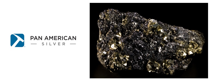 PAN AMERICAN SILVER PERU S.A.C | Panamerican Silver